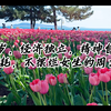 月薪4900，经济独立，精神自由，96年女生在小县城体制内也可以生活的很好！周末来一场说走就走的旅行吧