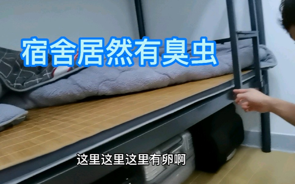 深圳的住宿环境真恶劣，宿舍居然还有臭虫，全部藏在床板缝里面！