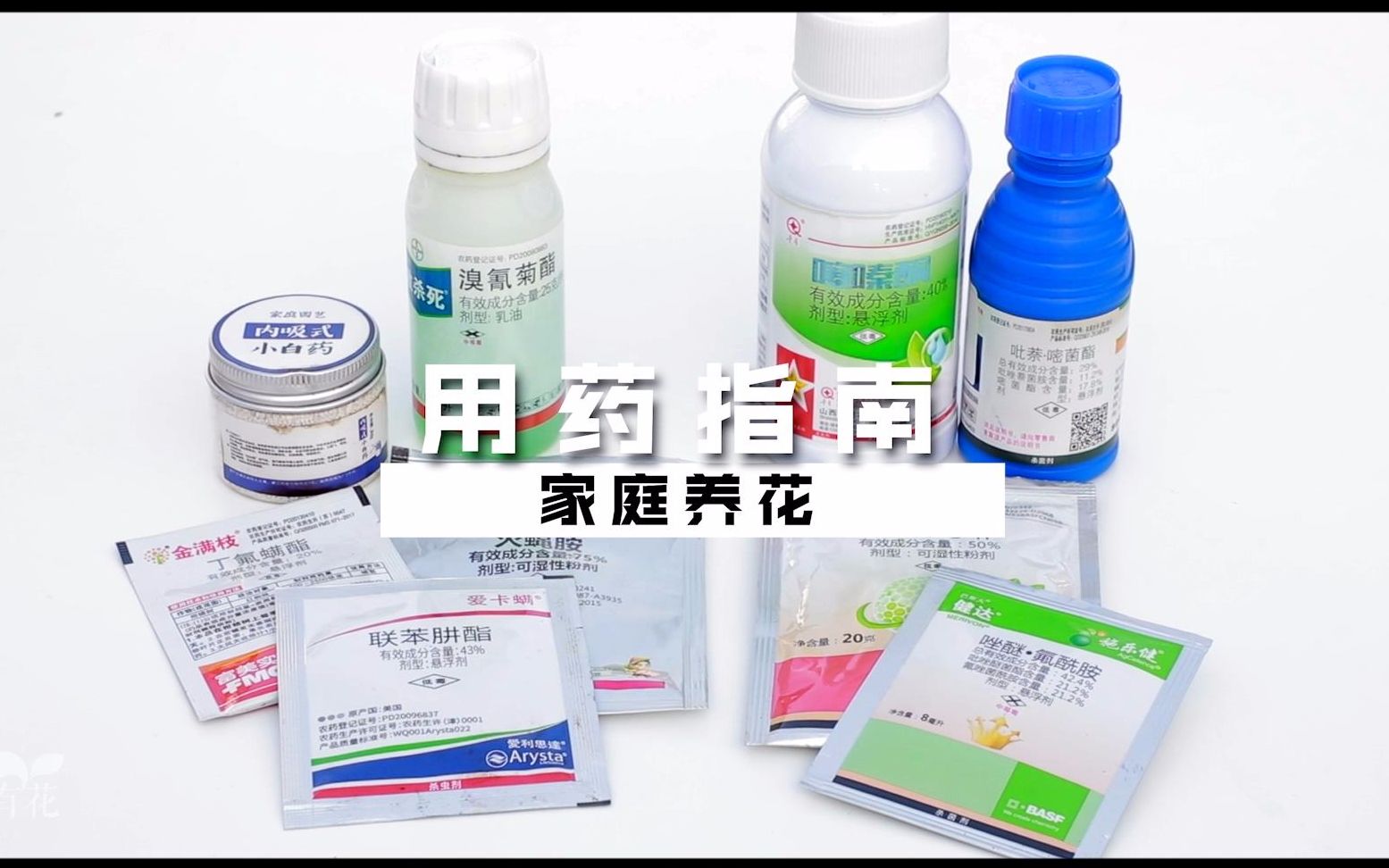 家庭养花，您要会用这些药。