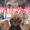 将现实变为梦境？——《小鸟梦境》(2·强制续更