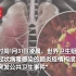 新冠病毒疫情被列“国际关注的突发公共卫生事件”，并不意在限制中国