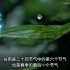 2023年4月20日是二十四节气之谷雨，谷雨的由来和习俗