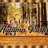 4K ᵁᴴᴰ ?秋天的氛围：秋天的公园，优美的吉他音乐，人们喜欢秋天的落叶和秋天的色彩 (适合2160p平板电视)