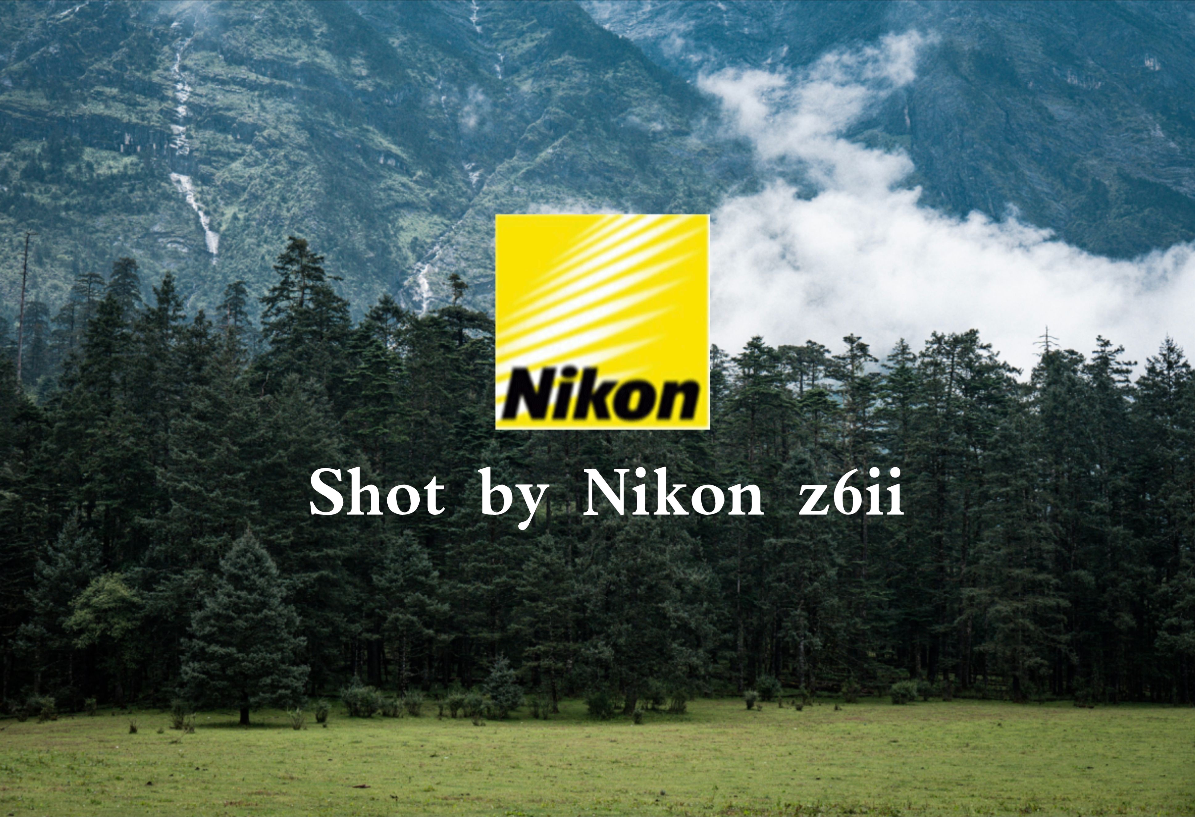 【尼康战歌】感动常在！20岁和Nikon z6ii的第一年 | 2023摄影总结