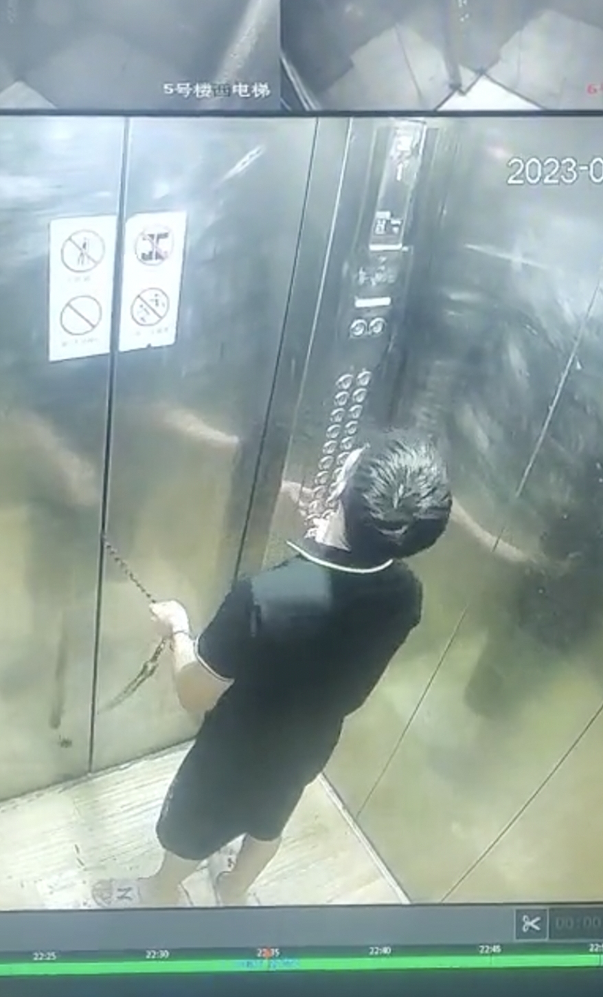 男子多次故意将狗赶出电梯不松牵引绳疑虐狗：电梯由1层变成2层