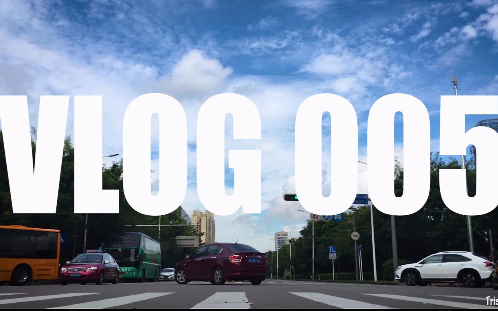 vlog005: 忙碌中偷懒