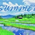【钢琴/纯音乐】《summer》久石让 菊次郎的夏天