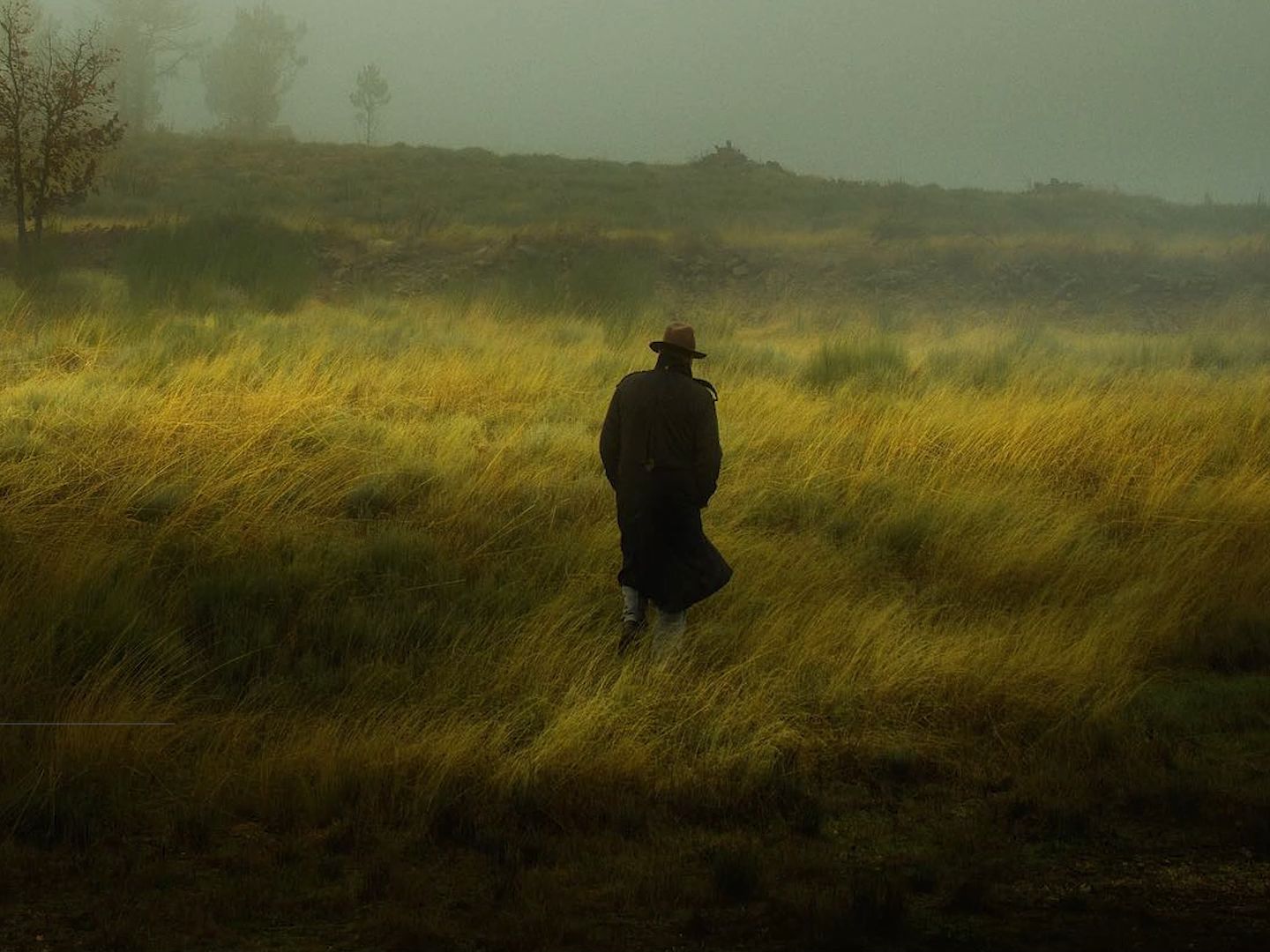 “潜行在迷雾与孤独”丨摄影师：Henri Prestes「审美日记」