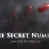 【 科幻 / 悬疑 / 短片】神秘数字 The Secret Number (2012) 【豆瓣7.7，IMDb6.7】