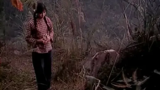 怀旧电影金曲1981被爱情遗忘的角落插曲角落之歌·朱明瑛