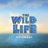 鲁滨逊漂流记 The Wild Life (2016)