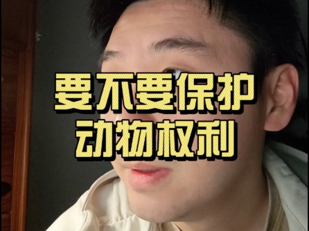 要不要保护动物权利