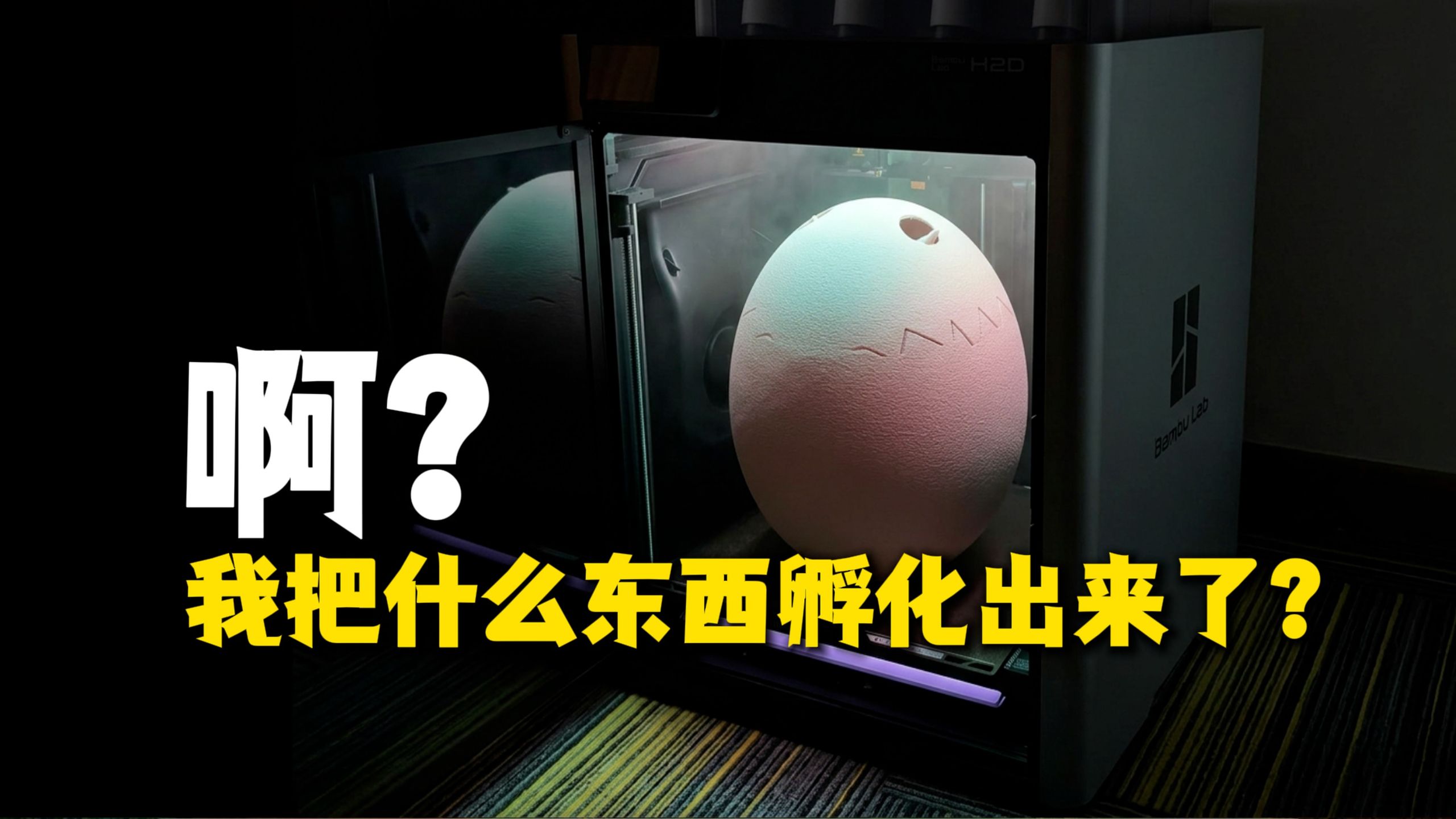 海格，你要的蛋我孵出来了…
