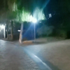 三个萝莉哒哒哒
