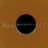(低频测试曲) Bass I Love You-Bassotronics