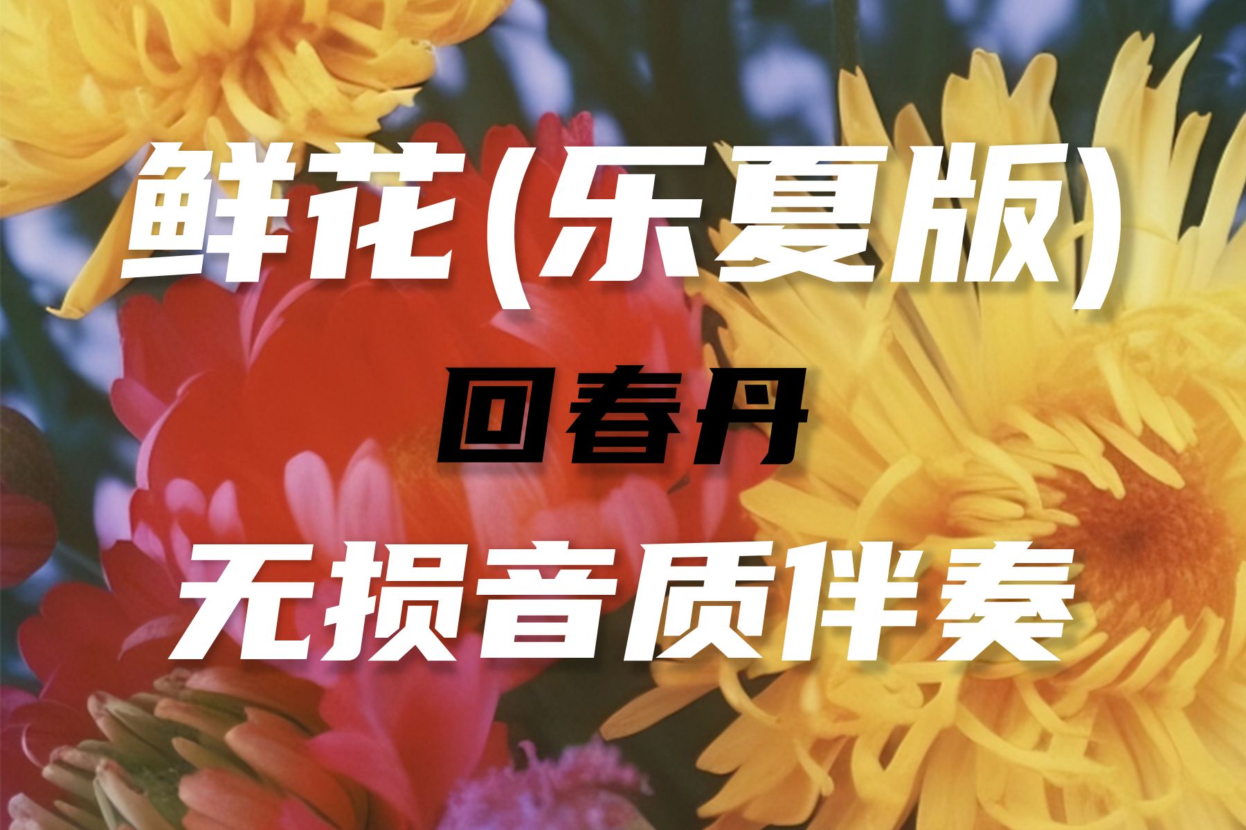 【无损】回春丹 《鲜花》(乐夏版) 纯伴奏