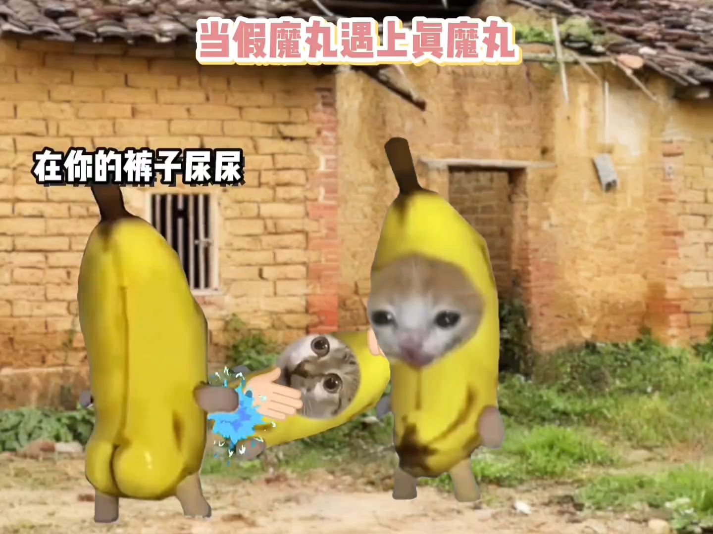 当假魔丸遇上真魔丸