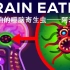 Kurzgesagt科普：最可怕的噬脑寄生虫——阿米巴虫（中英字幕）
