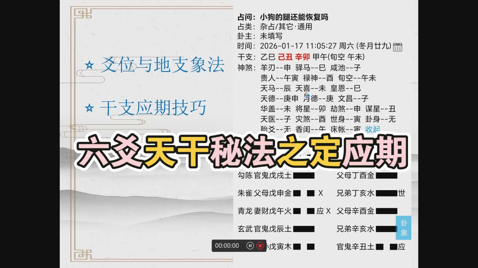 【六爻实战课例】宠物灾病占（爻位地支象法与应期技巧）