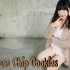 【饼干】Choco Chip Cookies/Hara