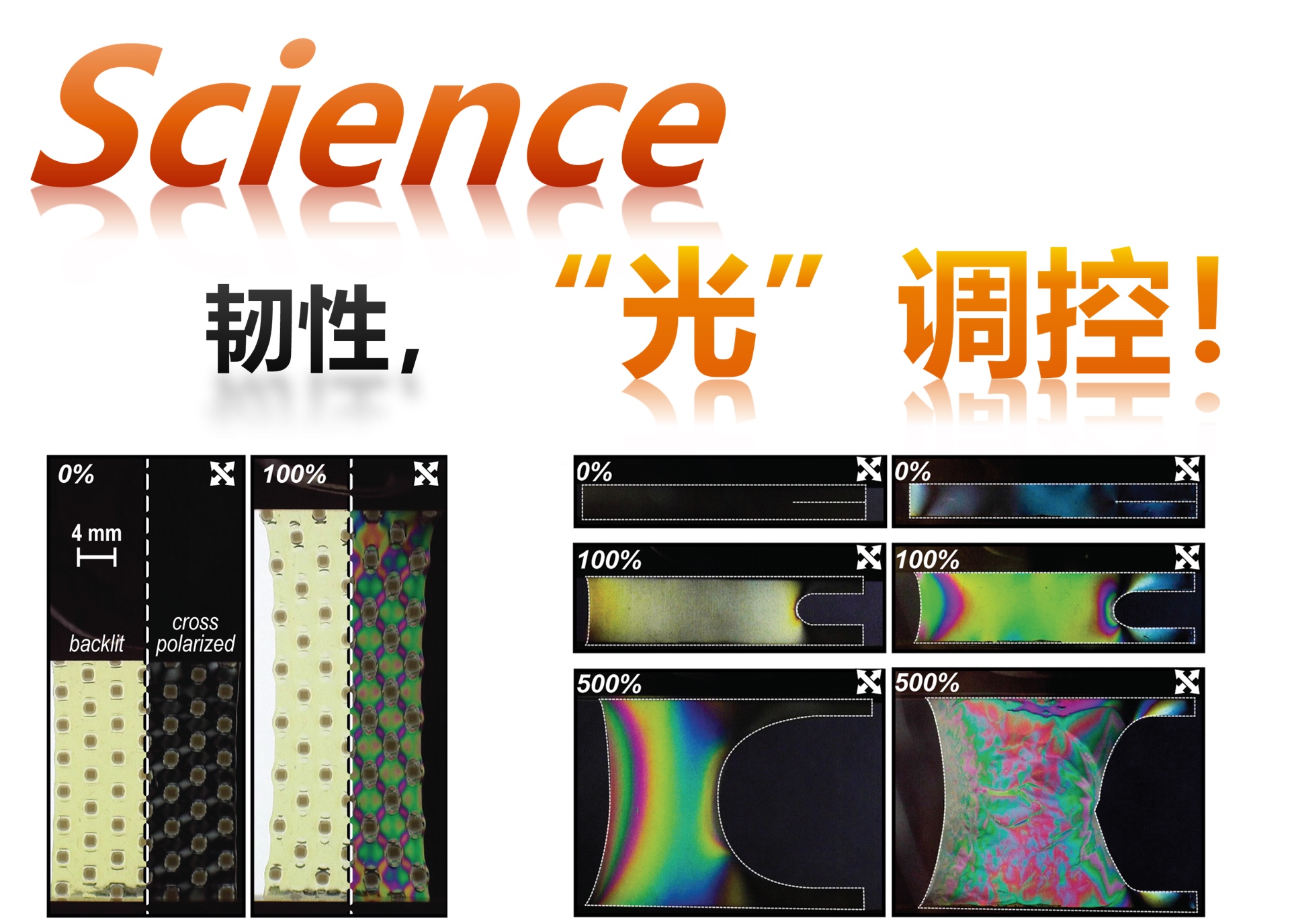 【Science】新型聚合物材料（罗斌）241119
