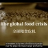 [中英字幕/经济学人]全球粮食危机 The Economist