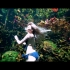 《花境迷踪》超唯美水下自由潜短片