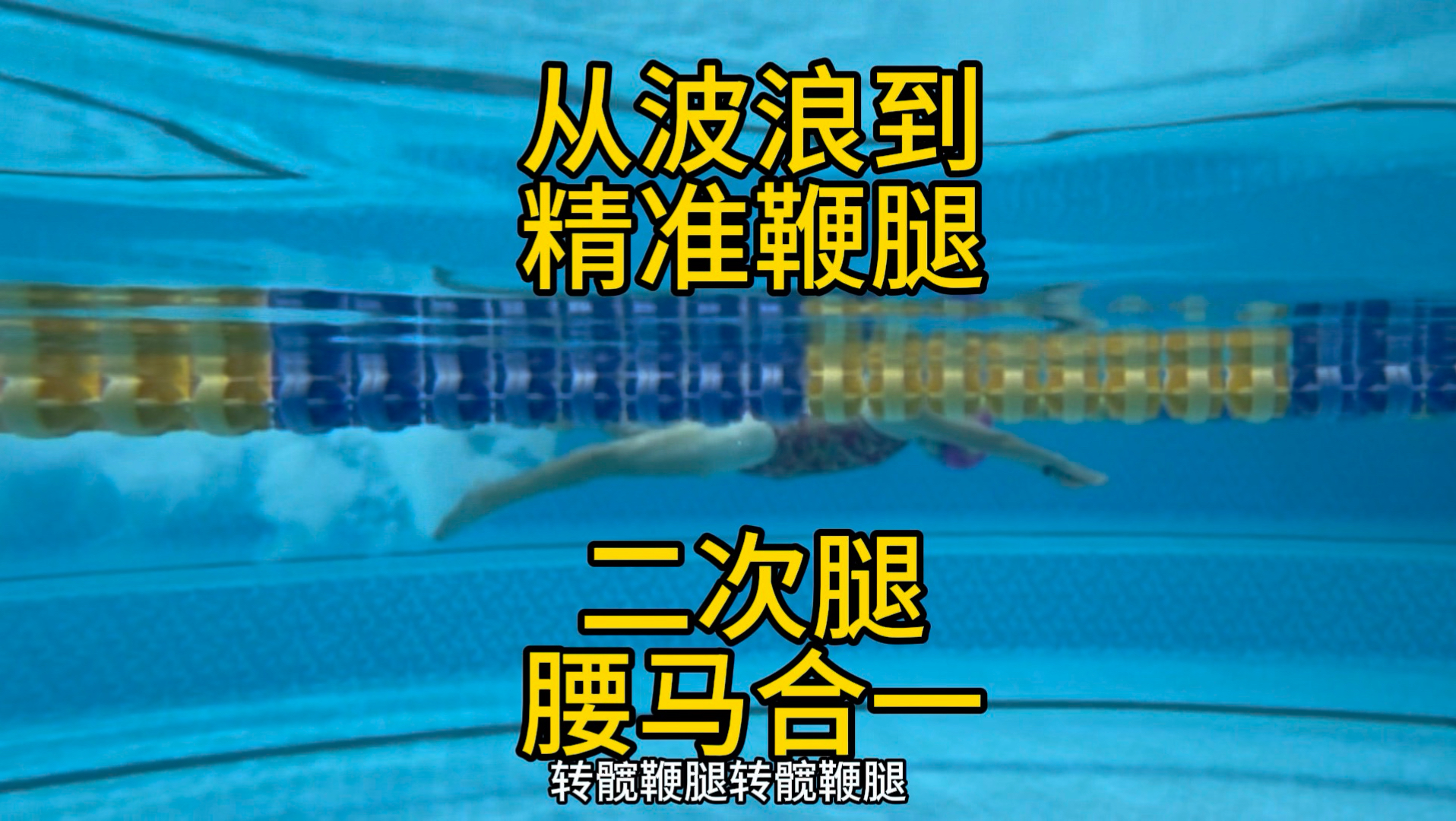 游泳打腿由腰，腰马合一就是腰腿合一，核心腰腹臀是鞭腿鞭子的手柄，而不是压大腿打小腿，不是撩小腿打小腿。如果你一开始就能解锁躯干的海豚波浪那么后面再学习就非常简单