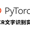 应用最广泛的Pytorch实战项目—OCR文字识别，手把手带你基于Pytorch框架实现OCR文字识别，看完就能跑通