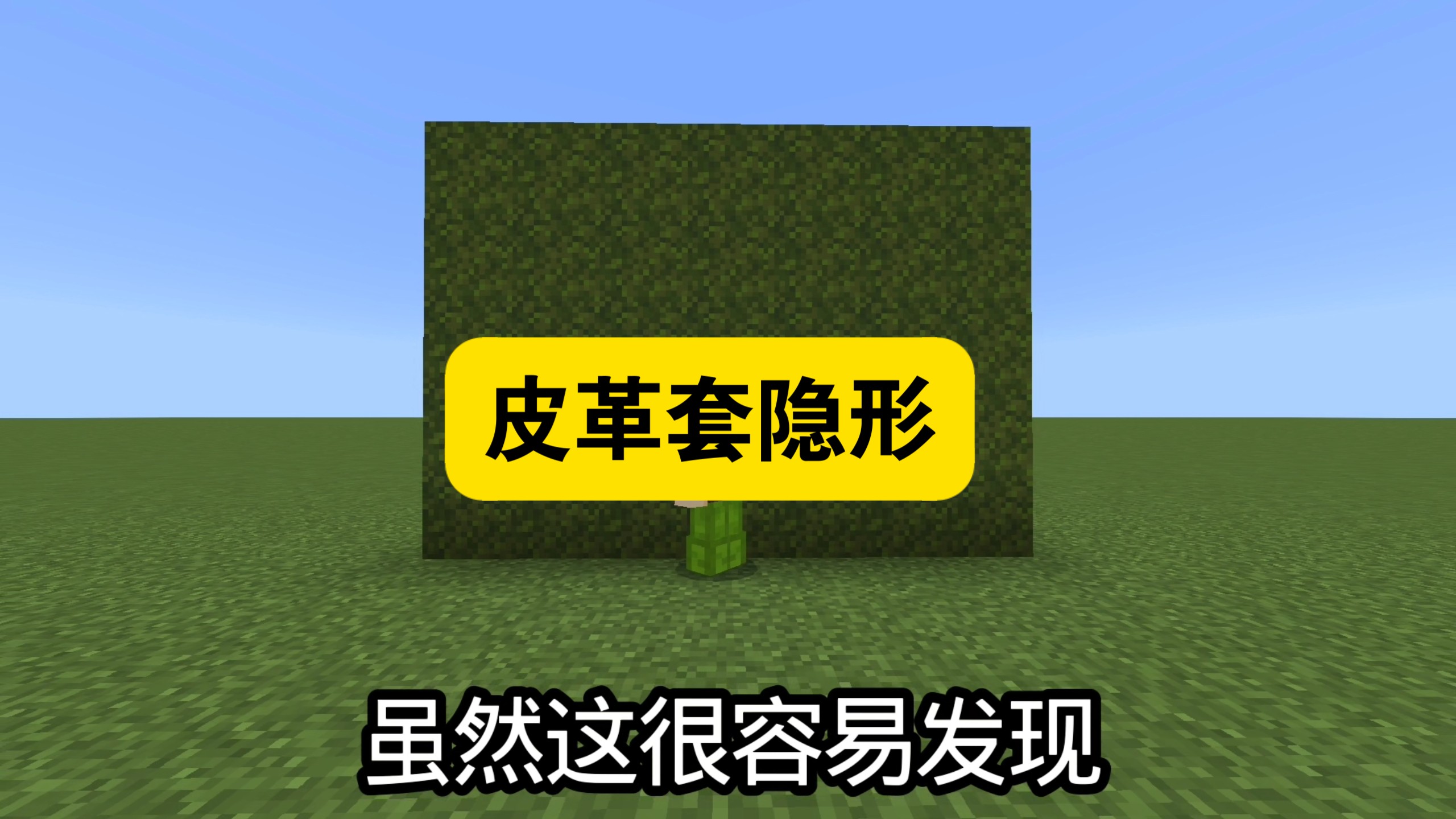 皮革套隐形