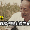 请停留三秒，为袁隆平院士献上一朵鲜花！5月22日是袁隆平院士逝世五周年，他最大的愿望是：饭碗要牢牢地掌握在中国人自己手上