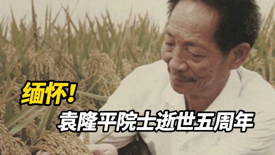 请停留三秒，为袁隆平院士献上一朵鲜花！5月22日是袁隆平院士逝世五周年，他最大的...