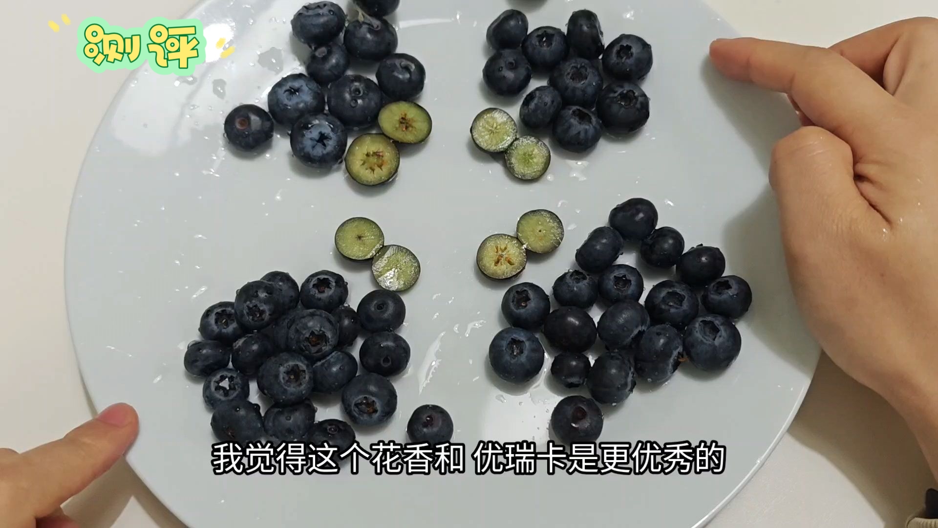 应季蓝莓大比拼（四个品种，四个品牌对比）