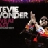 Stevie Wonder 史提夫·汪达 - Live at Last 2008
