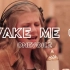 (Avicii)油管百万粉丝的童声合唱团OneVoice献唱Wake Me Up