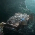 【动画短片】 获奖CG短片 被污染的海底世界