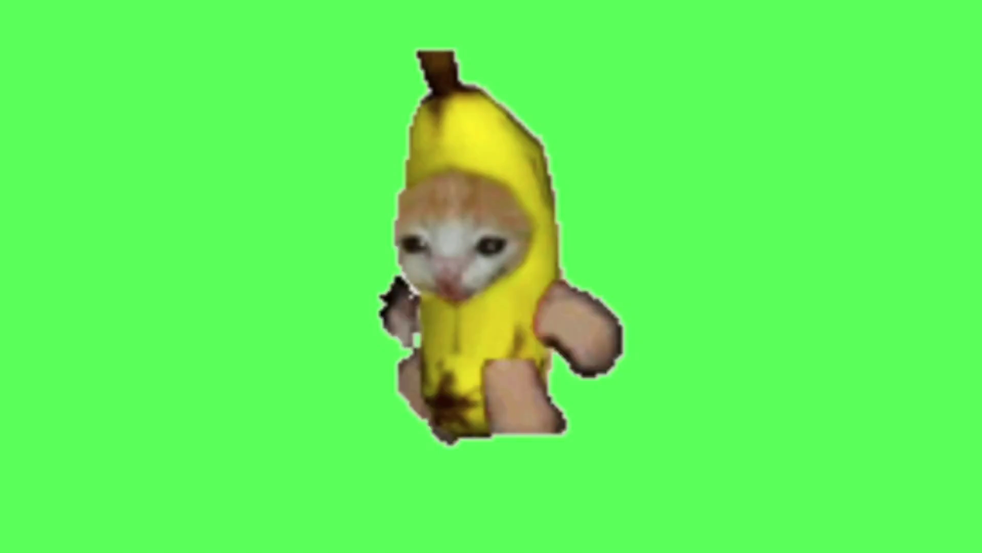 香蕉猫素材绿幕
