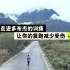 深入西藏林芝看中国马拉松精英多布杰高海拔训练，周跑170公里不受伤的秘诀！