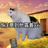 【猫meme】关于我小学回家路上遇见露阴癖的事