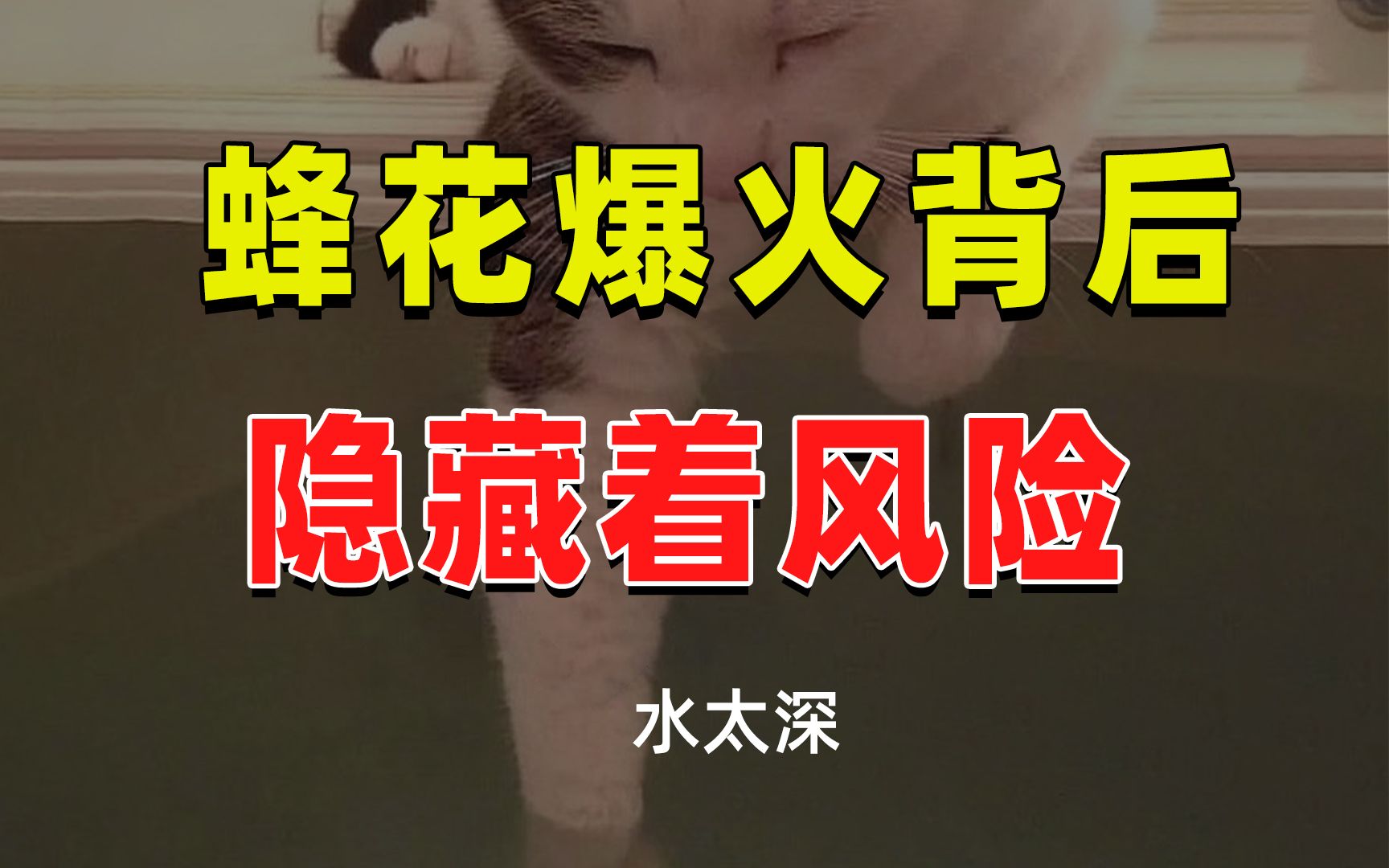 【半佛】蜂花爆火背后，隐藏着风险