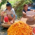 湘西特色辣子沫儿制作，辣椒和玉米碾磨腌制，酸酸辣辣独特口味！