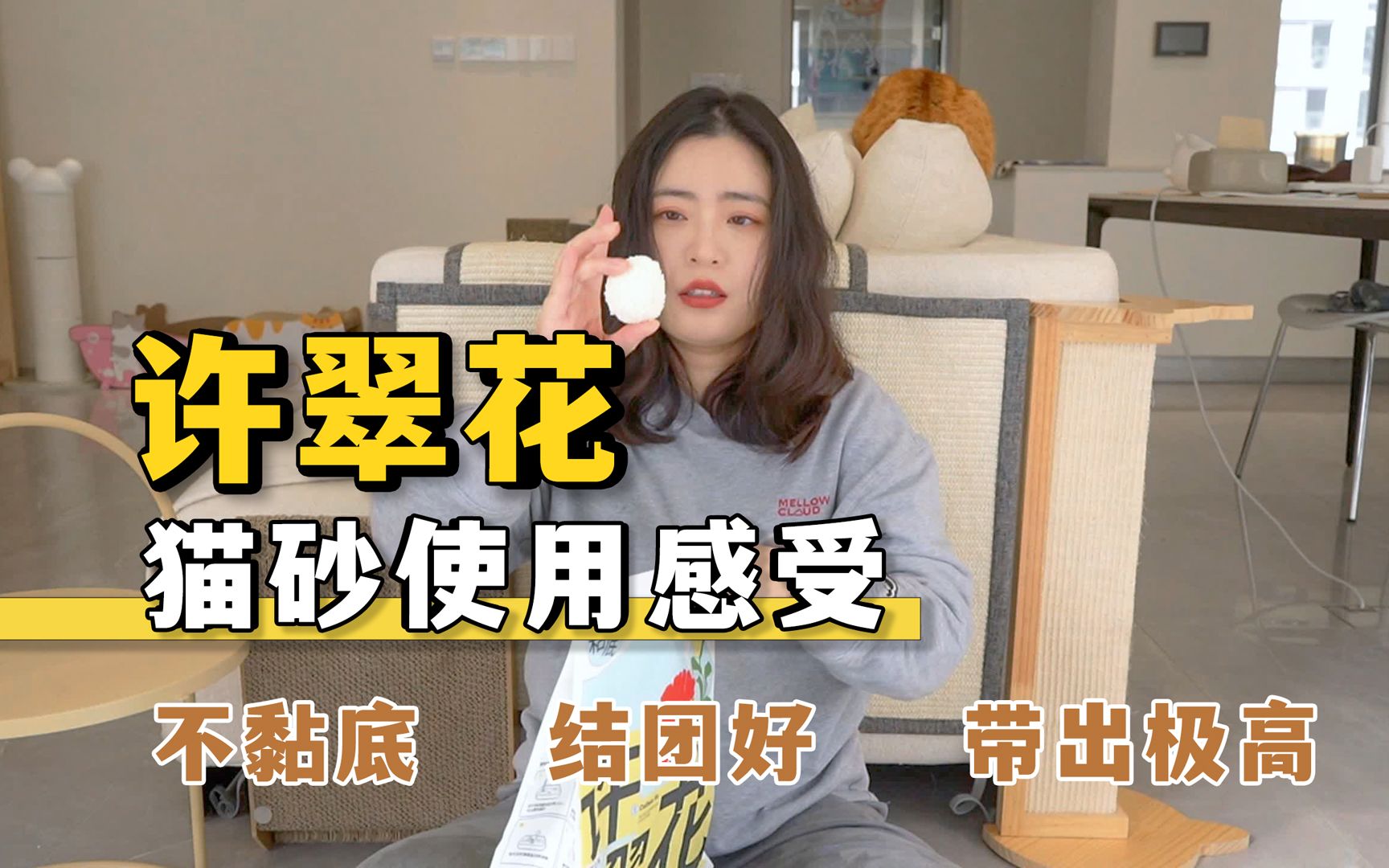 这款猫砂让我又爱又恨！许翠花猫砂7天测评