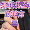 《在那桃花盛开的地方》笛子简谱教学