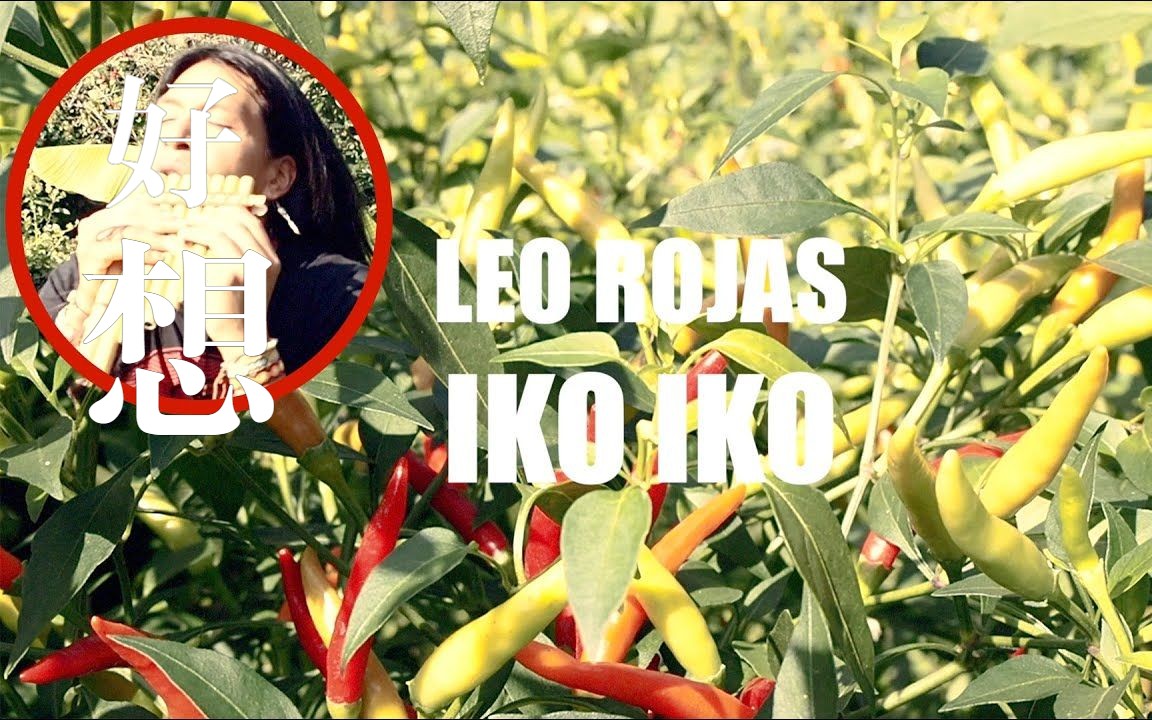 心情不好就进来听利奥的《Iko Iko》—Leo Rojas