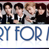 【AI COVER】Stray Kids - 《CRY FOR ME》Orig By TWICE