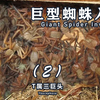 家里蜘蛛入侵？巨物和密集恐惧症状。T属三巨头捕鸟蛛介绍第二集