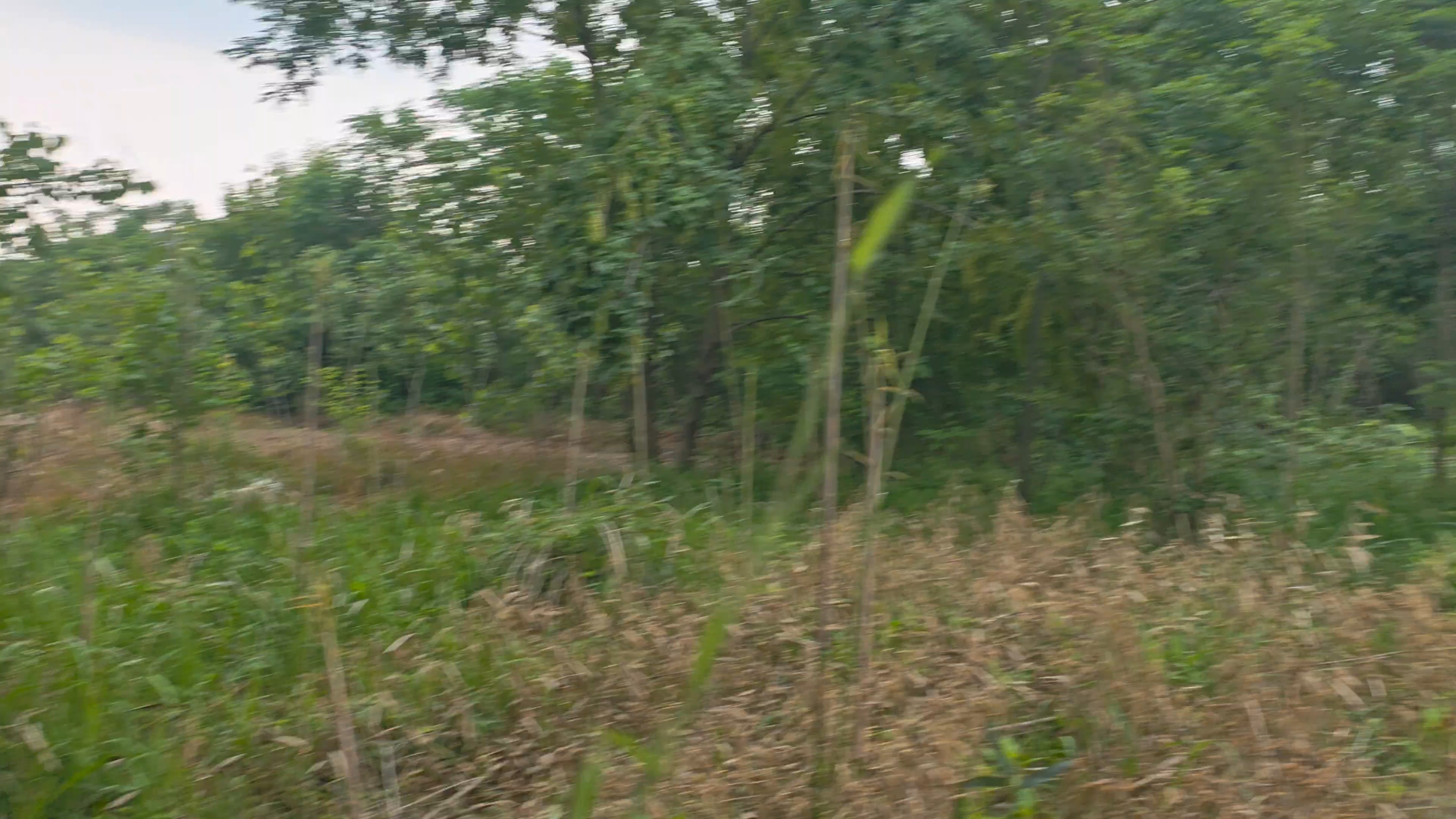 看看我们的新场地！