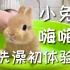 兔兔第一次洗澡，像不像小时候的你