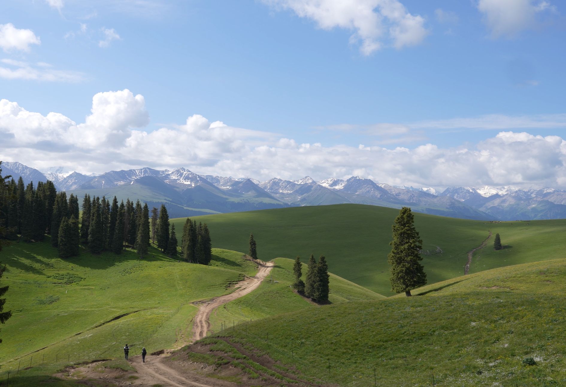 没有滤镜下的伊犁草原究竟有多美？| 60公里喀拉峻小环线徒步 | 4K