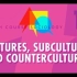 【10分钟速成课：社会学】第11集 - 文化、亚文化与反主流文化
